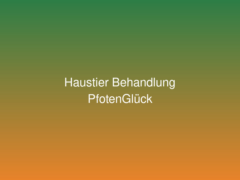 Tierärztin untersucht Katze behutsam in der Praxis