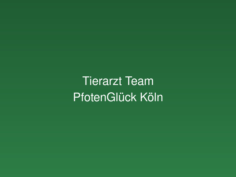 Das Team von PfotenGlück Tierarzt Köln